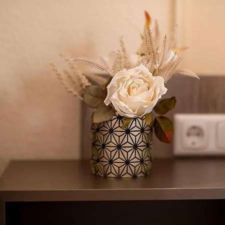 سيتي فندق فيسبادن