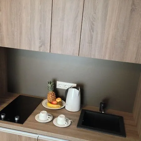 سيتي فندق فيسبادن