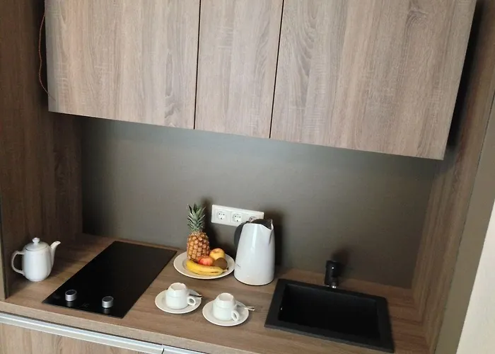 City Hotel Wiesbaden Отель Висбаден