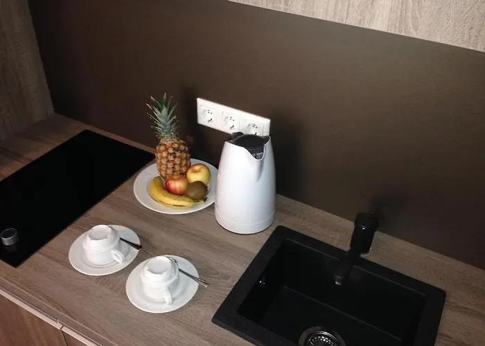 Отель City Hotel Wiesbaden Висбаден