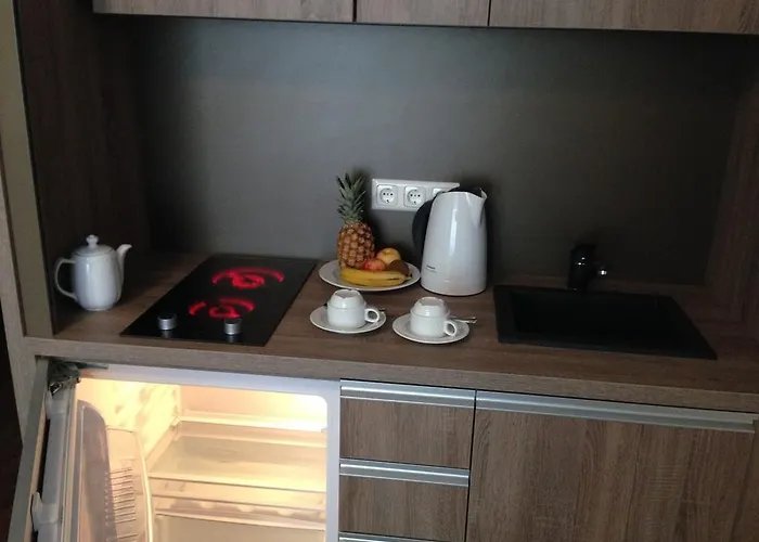 Отель City Hotel Wiesbaden Висбаден